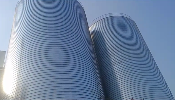 平阴2座混凝土高架卷板仓